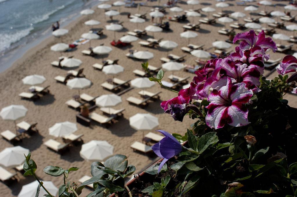 Apartments Oasis Vip Club Sunny Beach Quarto foto